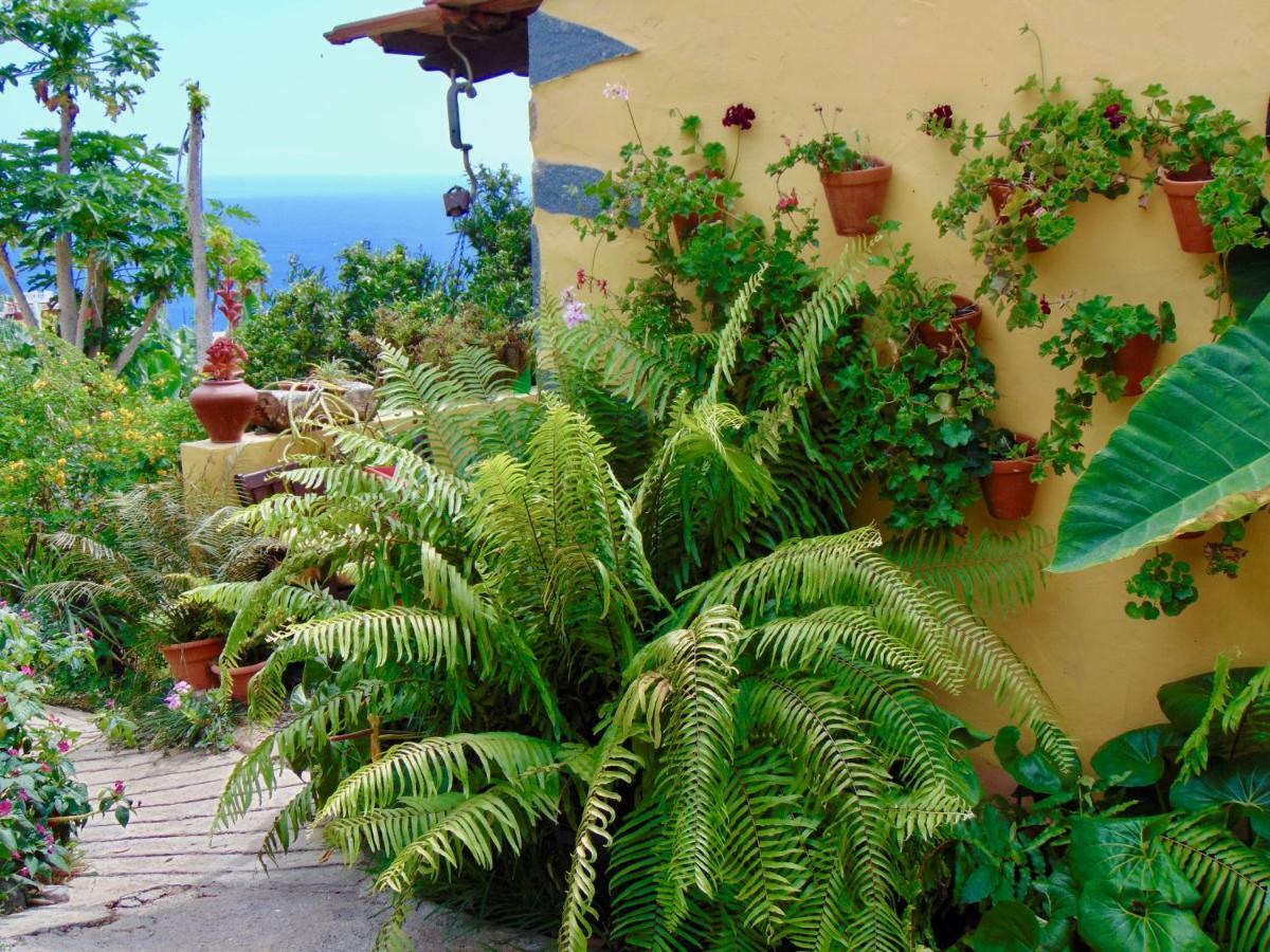 Casa Rosa Apartment Tijarafe Luaran gambar